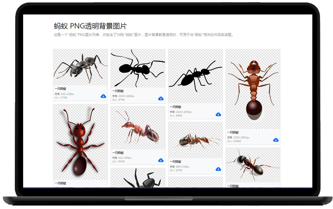 PNGDirs——PNG分类