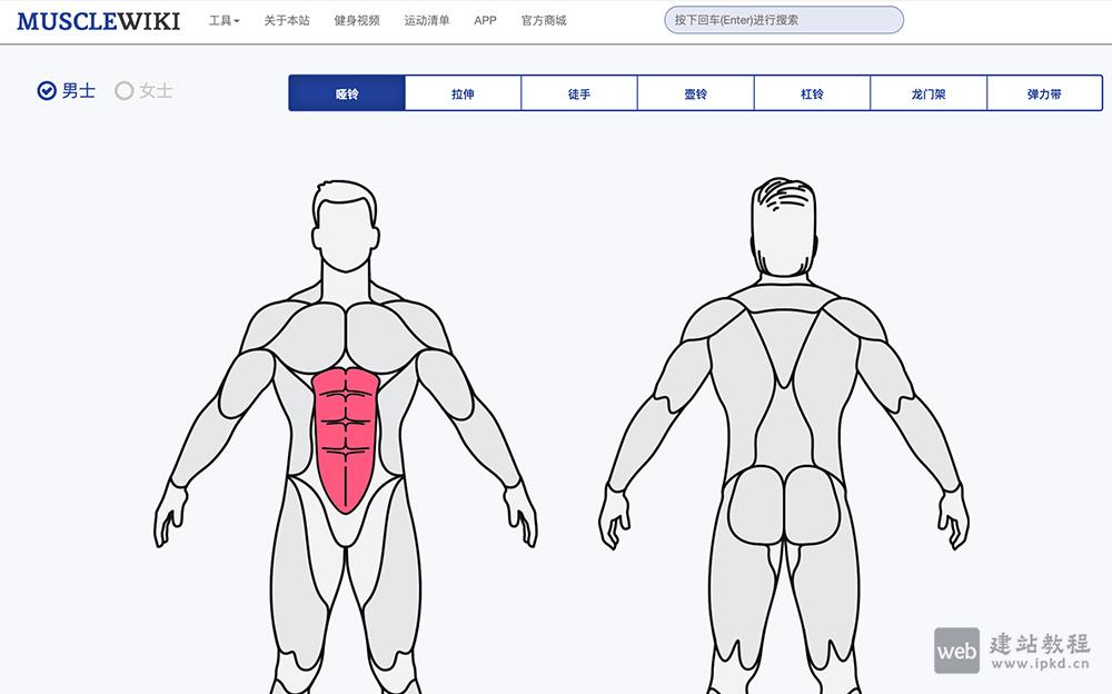 MuscleWiki中文健身网：一个专注于健身领域的在线资源平台