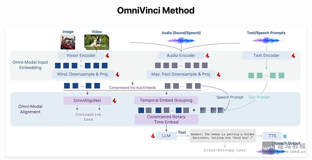OmniVinci：NVIDIA推出专门处理视觉/听觉/语言的全模态大语言模型